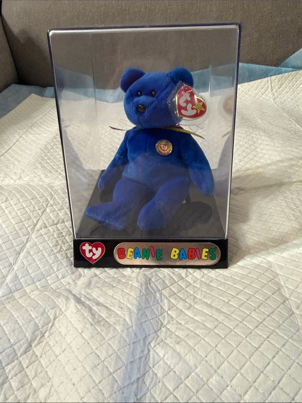 Ty Beanie Babies Royal Blue Bear Plush with Heart Tag and case